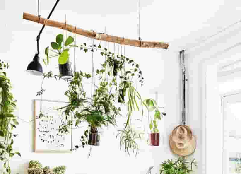 Hanging wooden log