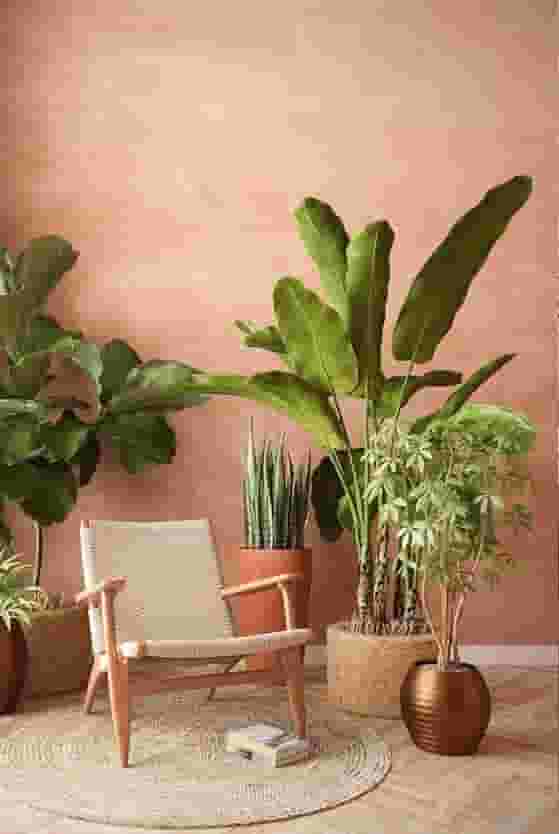 brown orange wall