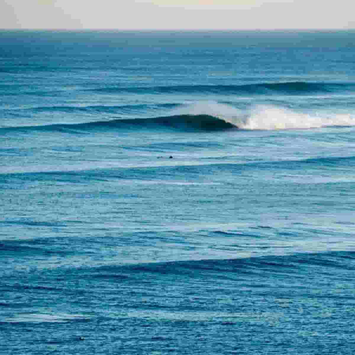 Surf report Ribeira