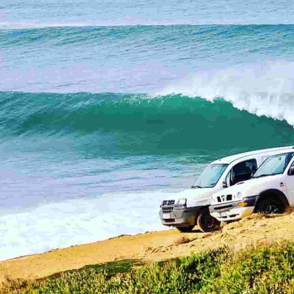 Coxos barrels