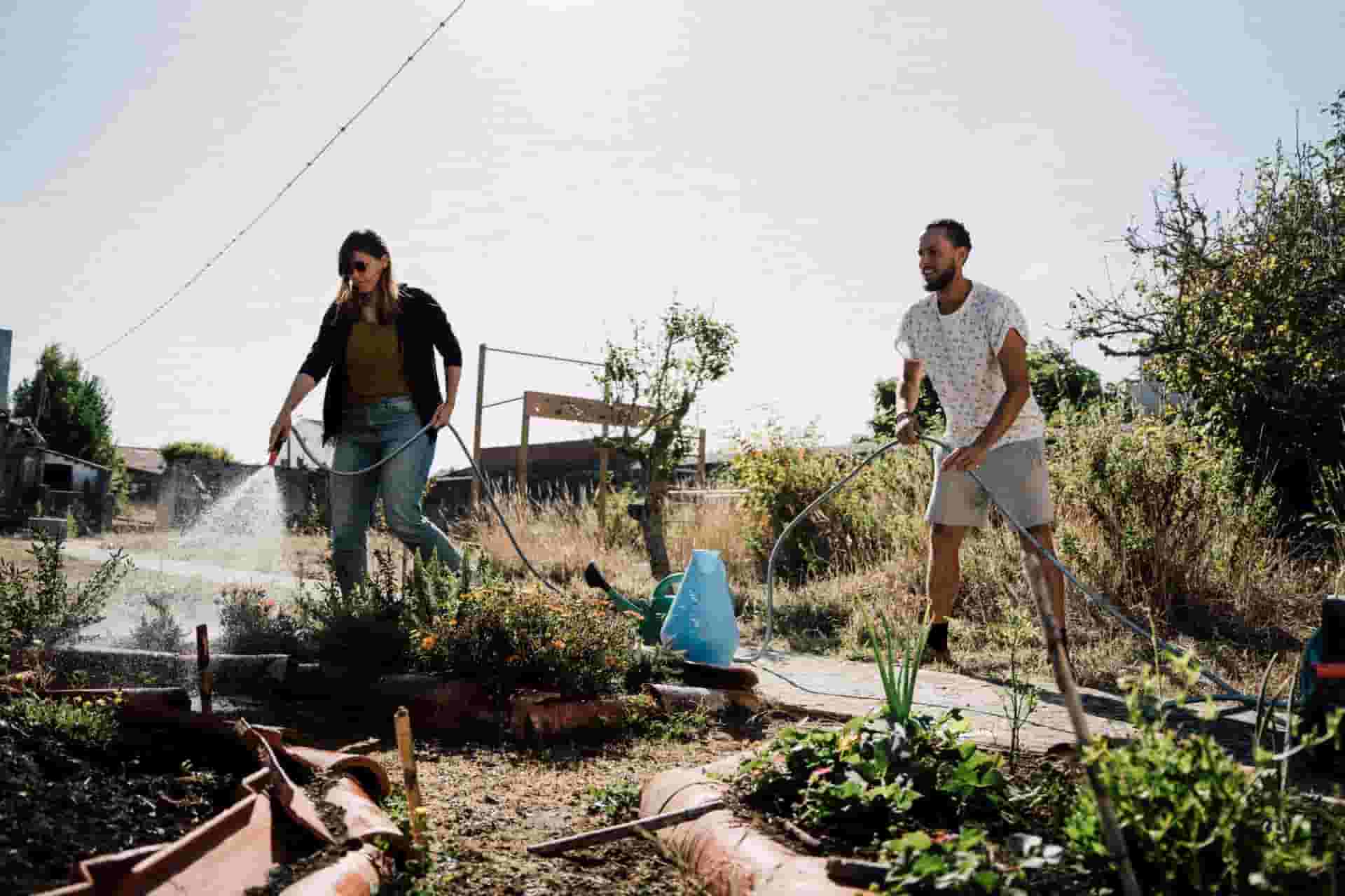 Farming together