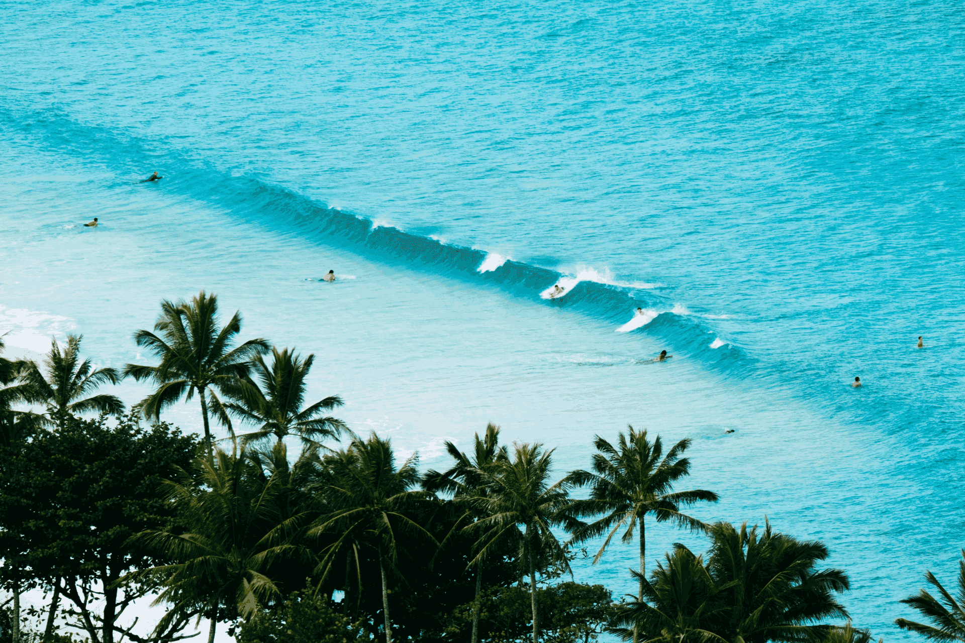 Surf Break Lineup