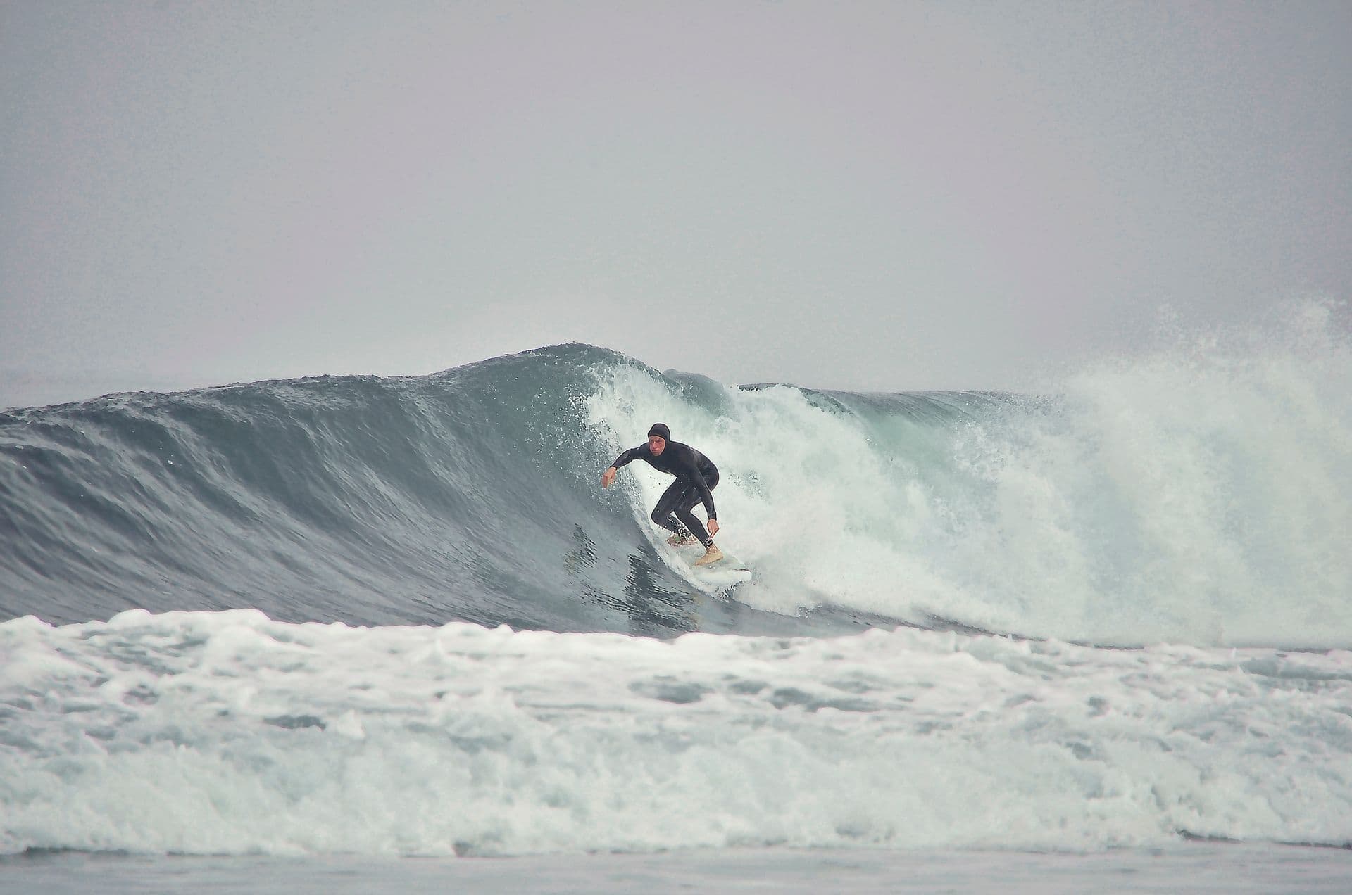 Salty Jackal Surf Camp - Cover Image