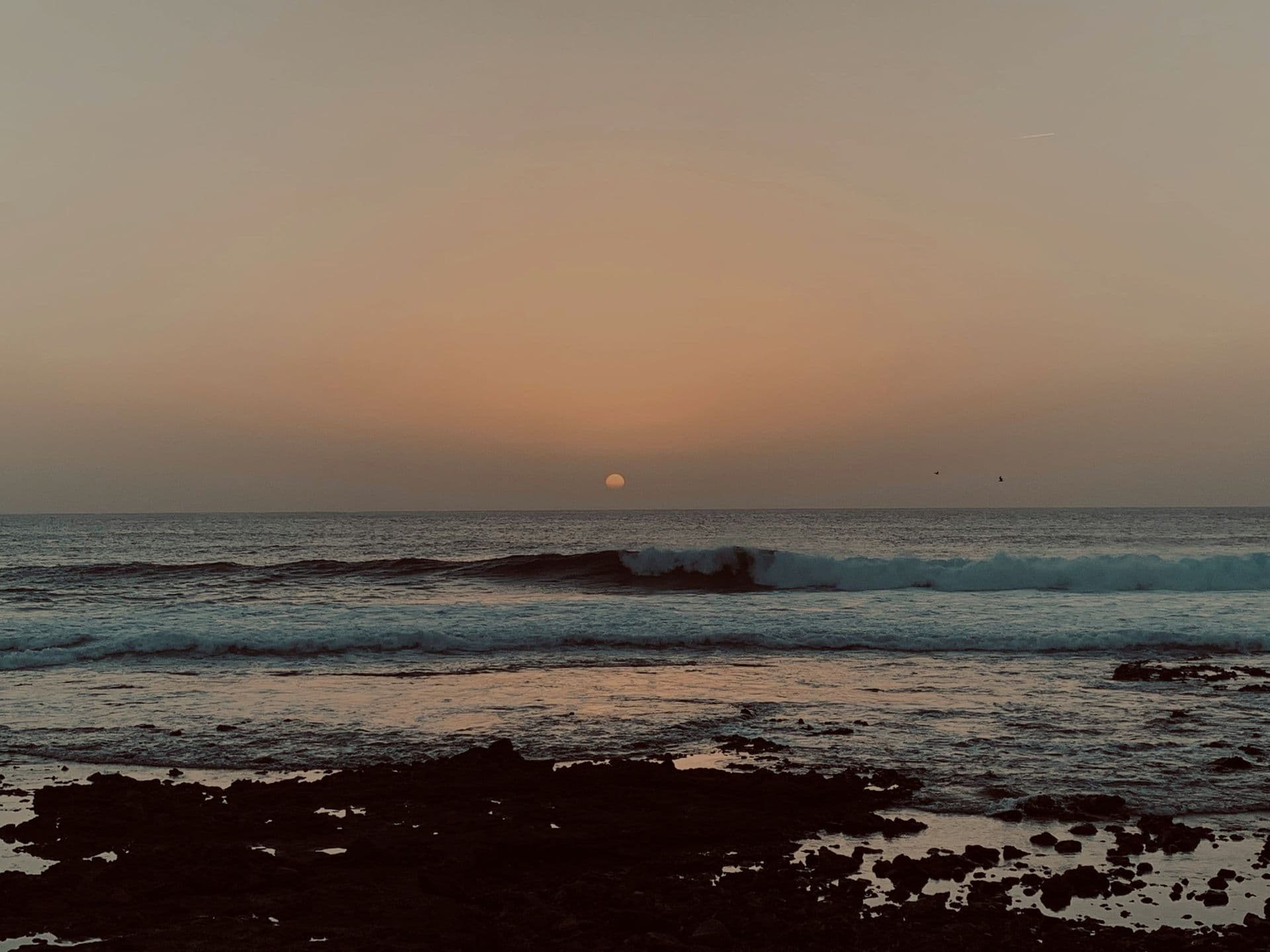 Coworking and Coliving by the surf in Tenerife, Spain at Ikigai