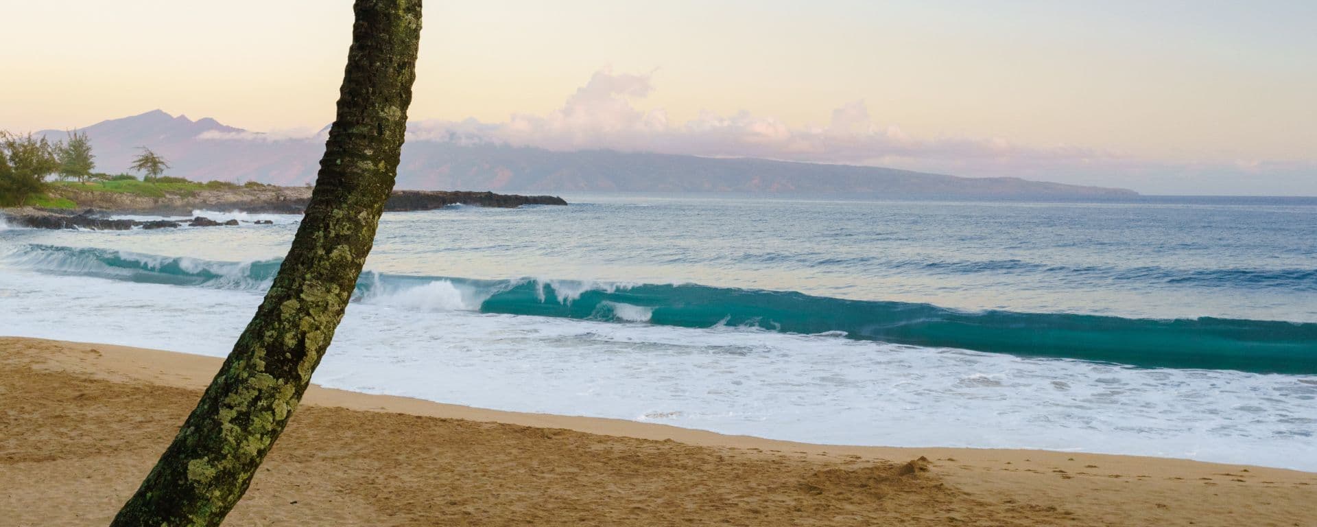 Lahaina, Maui (Hawaii) - Card Background Image