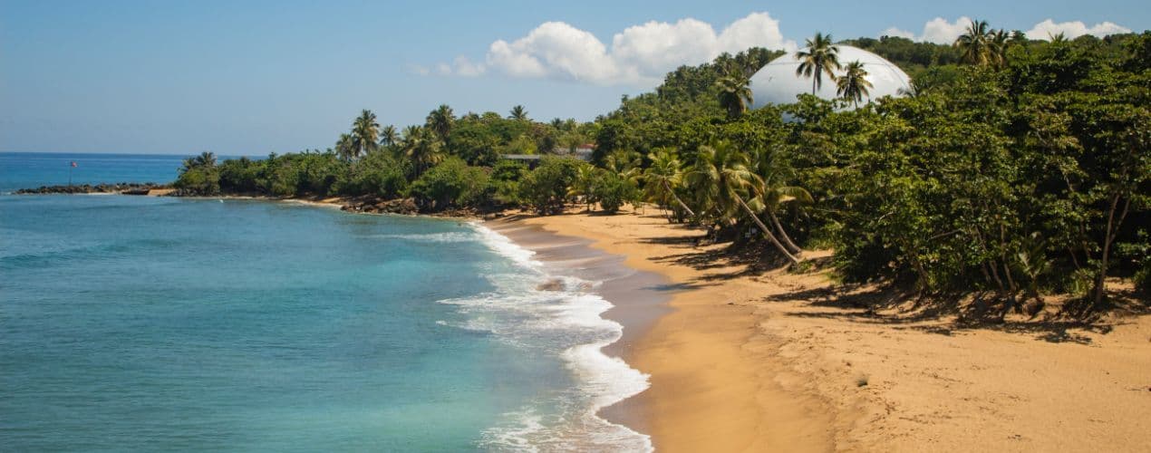 Rincon (Puerto Rico) - Card Background Image