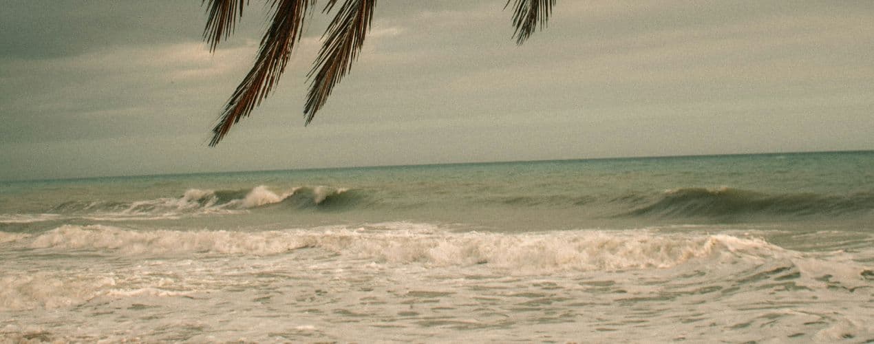 Palomino (Colombia) - Card Background Image