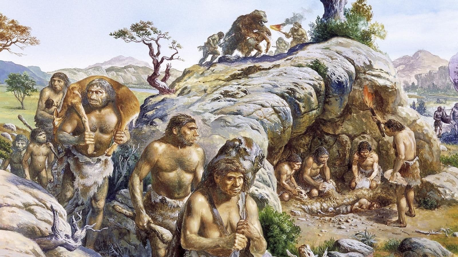 The 6 Million Year History of Coliving - Cover