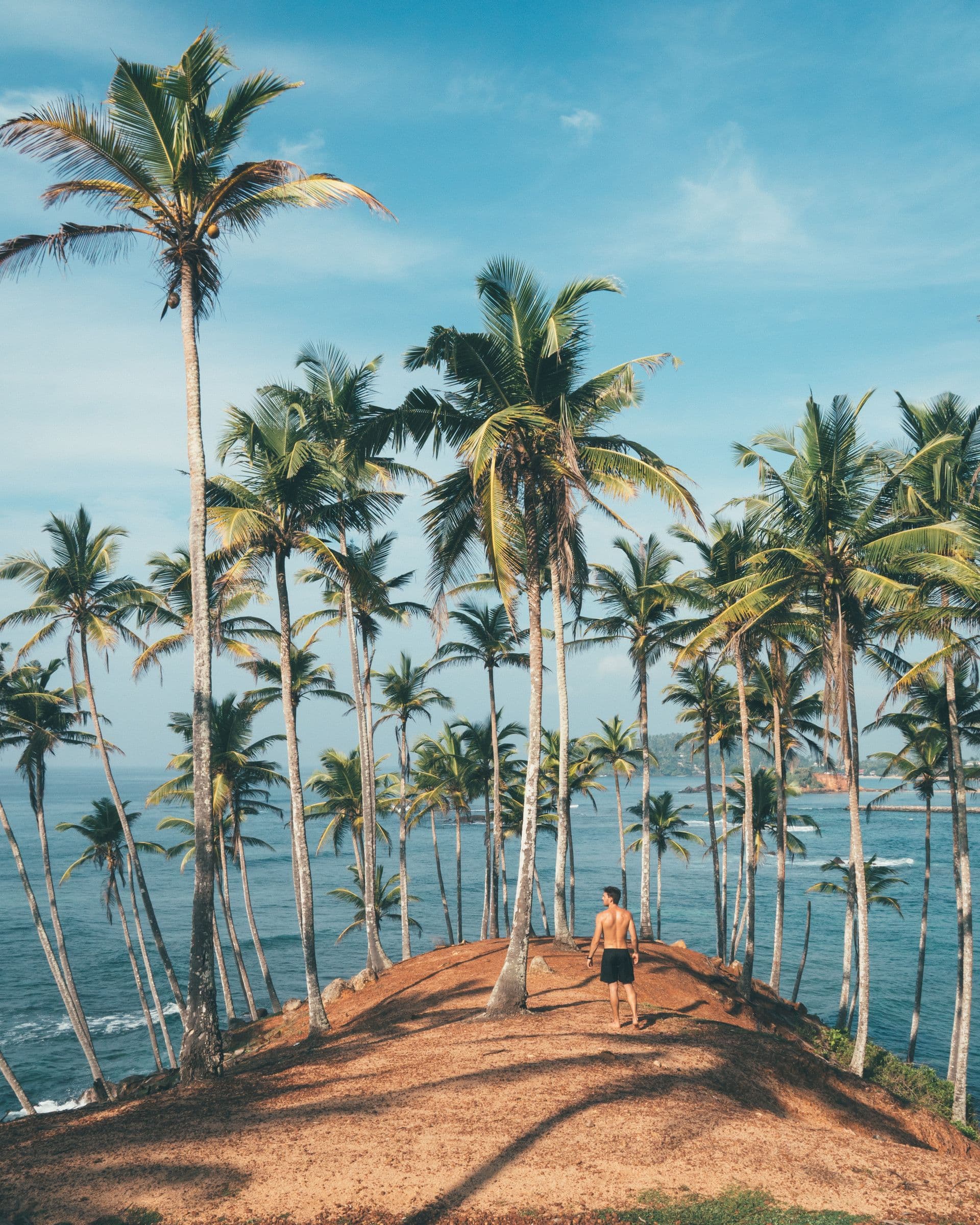 Mellow Hostel - Ahangama - Cover Image