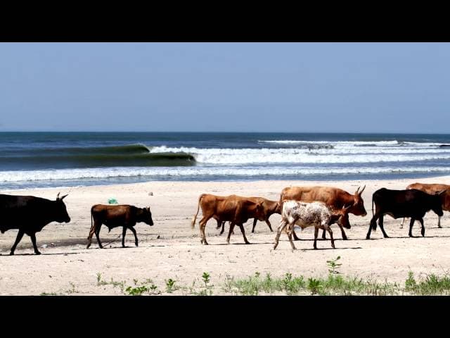 video play button image