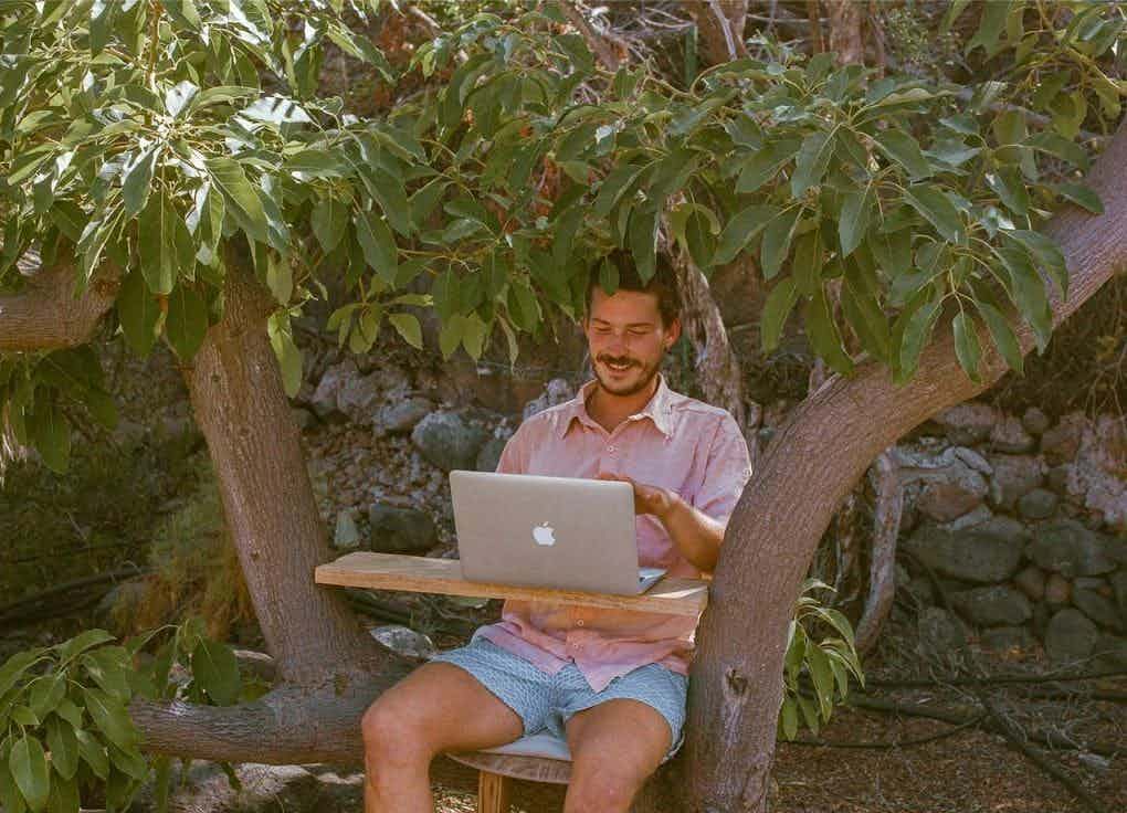 working from a tree