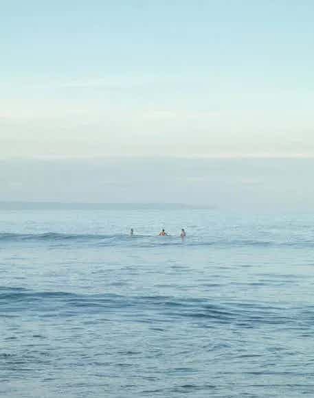 surfers in the water