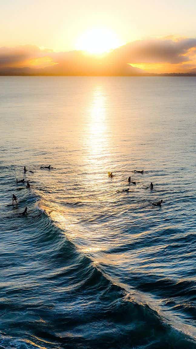 surfers in water