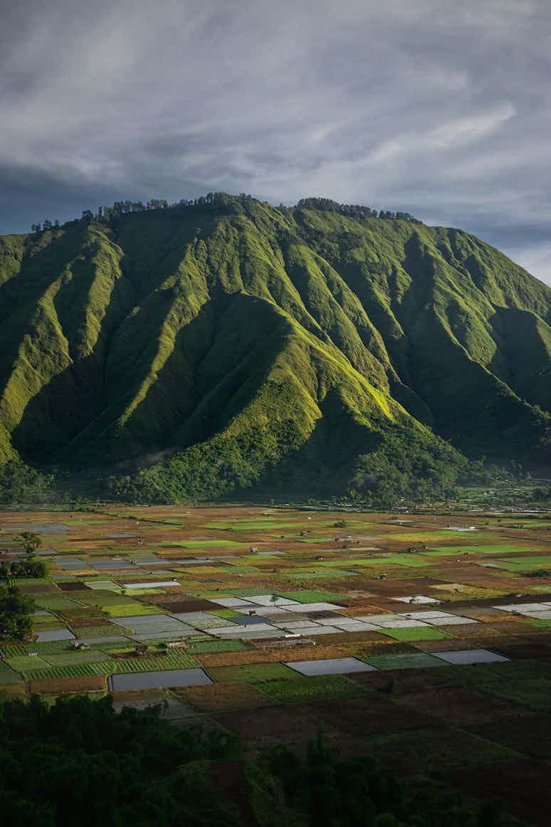 Lombok Nature