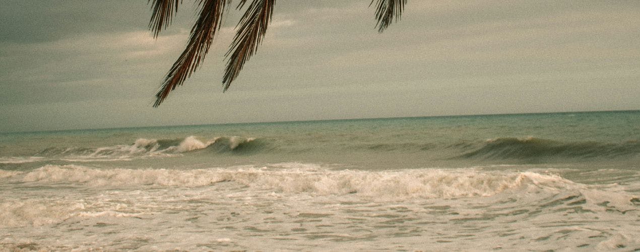 Coworking, Coliving and Surfing in Palomino (Colombia)