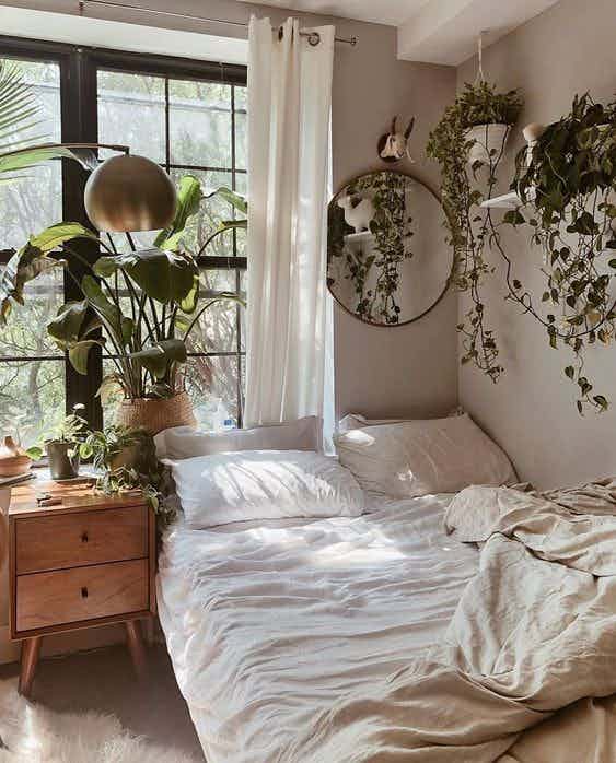 Aestetic Bedroom plants