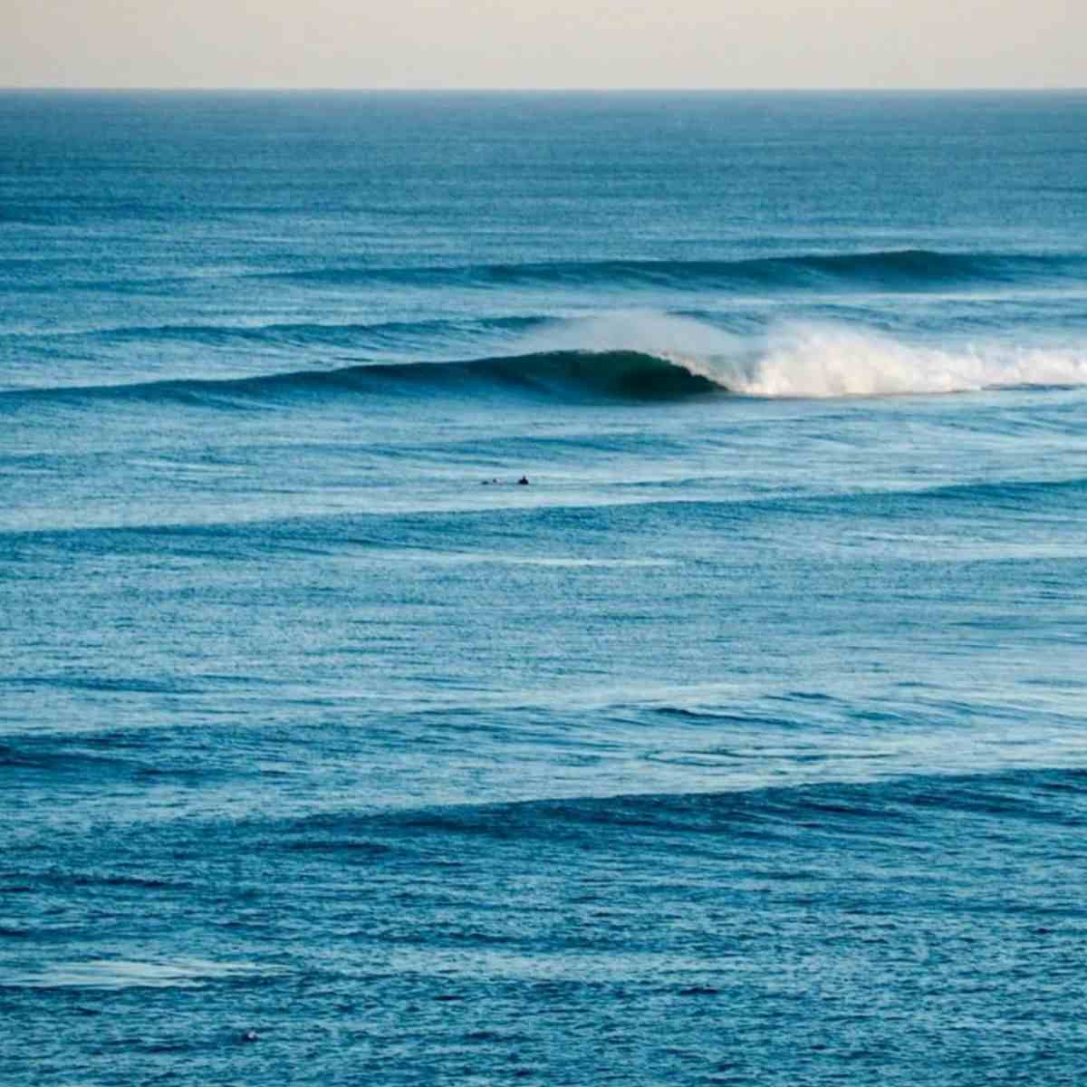 Surf report Ribeira